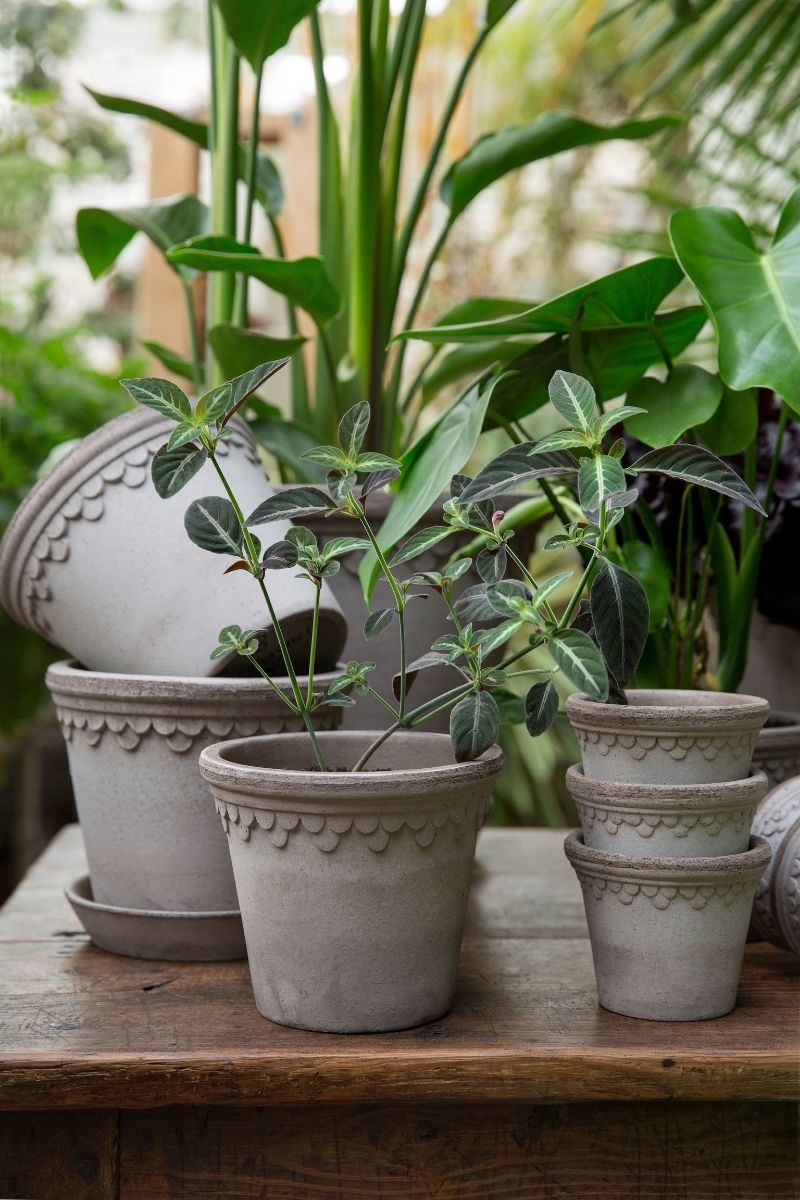 POT, KOBENHAVNER GREY W/S 8.3"