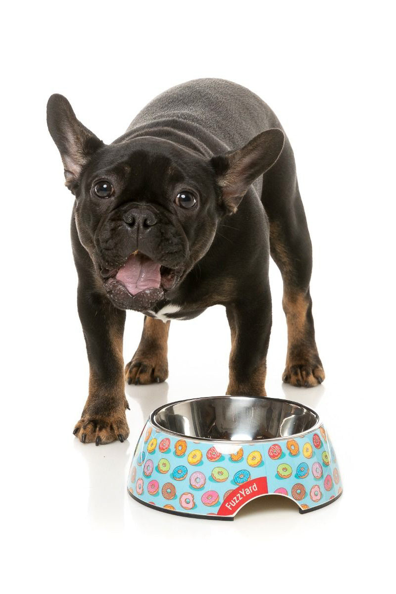 FuzzYard You Drive Me Glazy Easy Feeder Pet Bowl Small