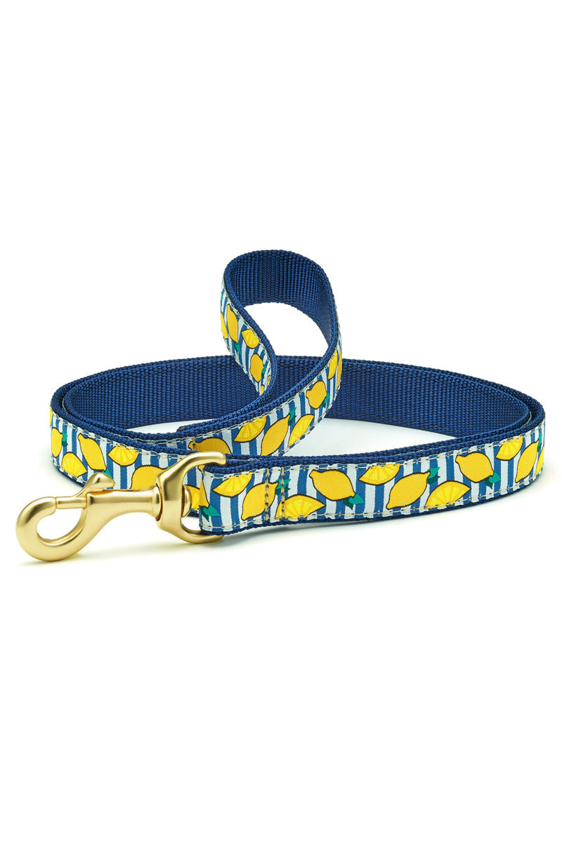 LEASH, NARROW MAKE LEMONADE 6'