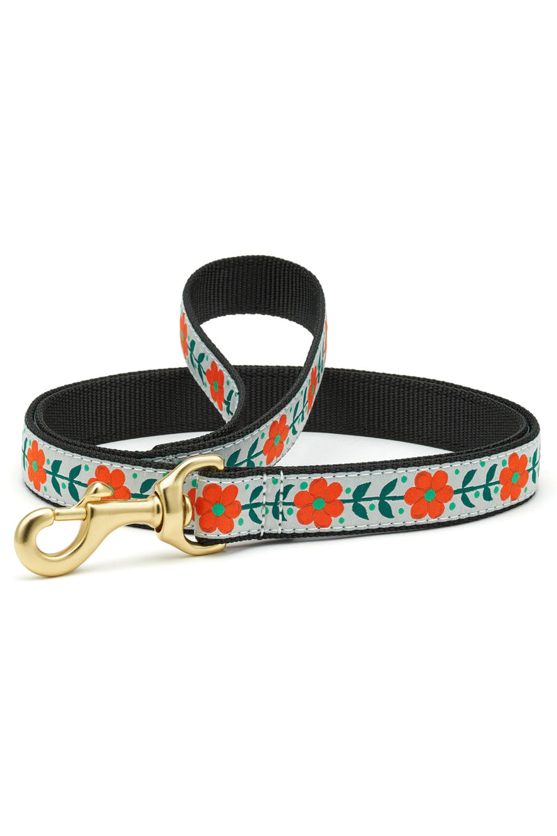 LEASH, ORANGE YOU NARROW 6FT