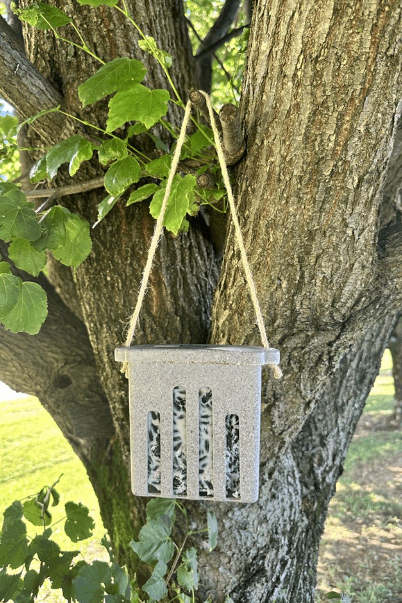 Earthy Bird Suet Feeder Nut Husks