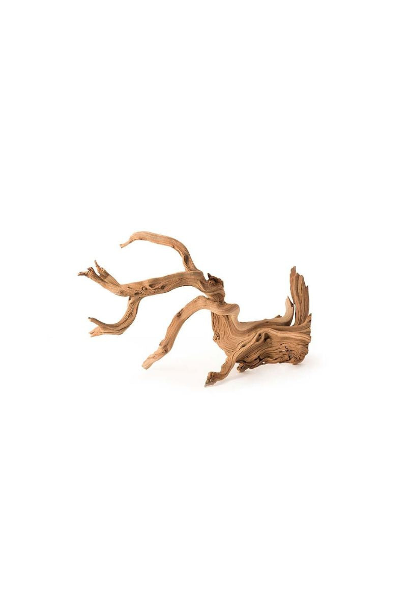 Manzanita Root 13-18"