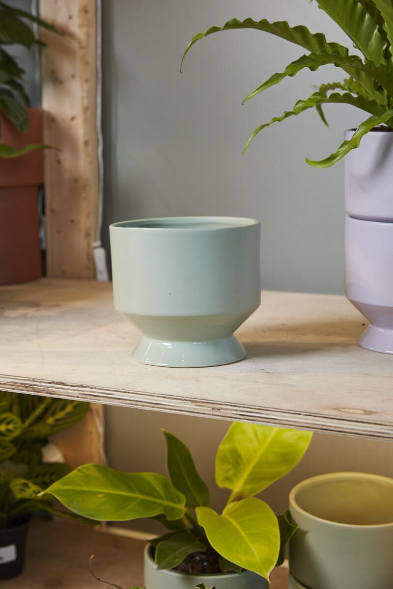 Pot, Pasadena 6.25X6" Green