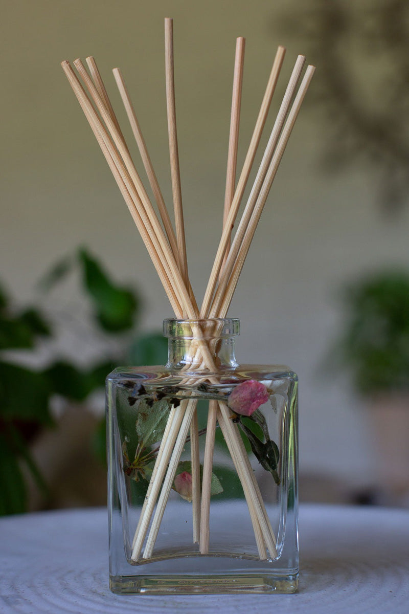 Rosy Rings Botanical Diffuser Apricot Rose 4 oz