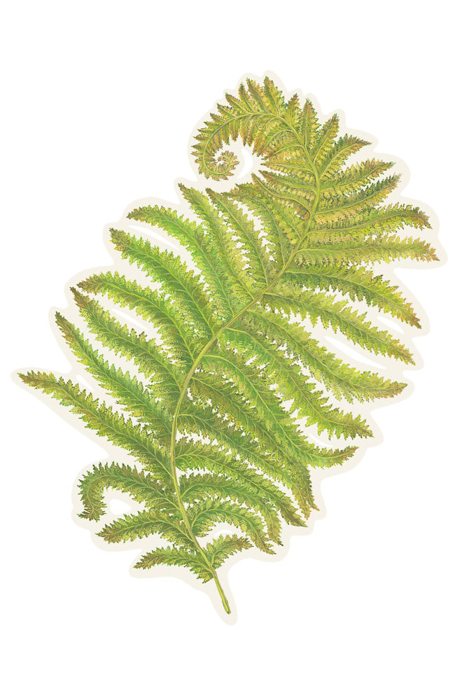 PLACEMATS, FERN S24