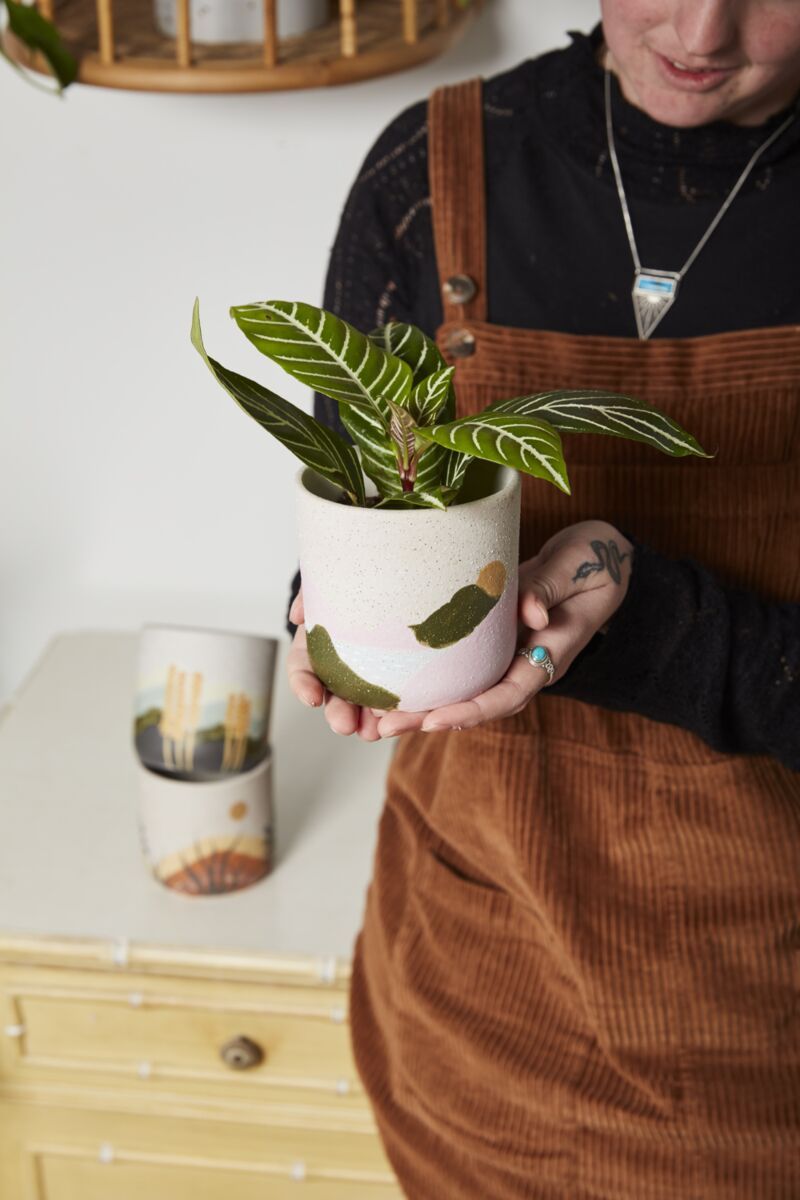 Mojave Pot 3.75"x3.75"
