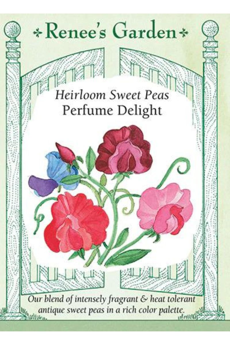Renee's Garden Heirloom Sweet Peas Perfume Delight Seeds