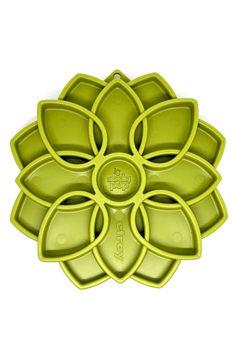 SodaPup Mandala Feeder Green