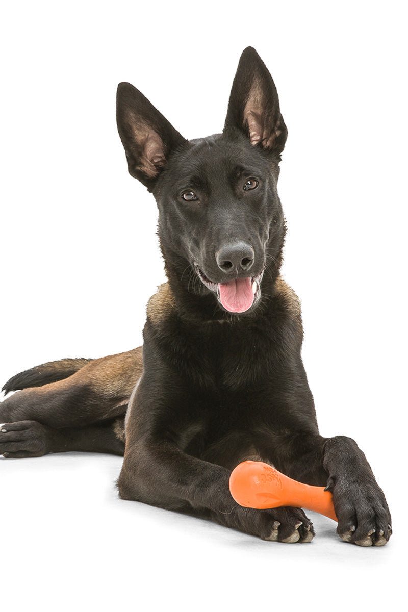 WESTPAW HURLEY LG TANGERINE