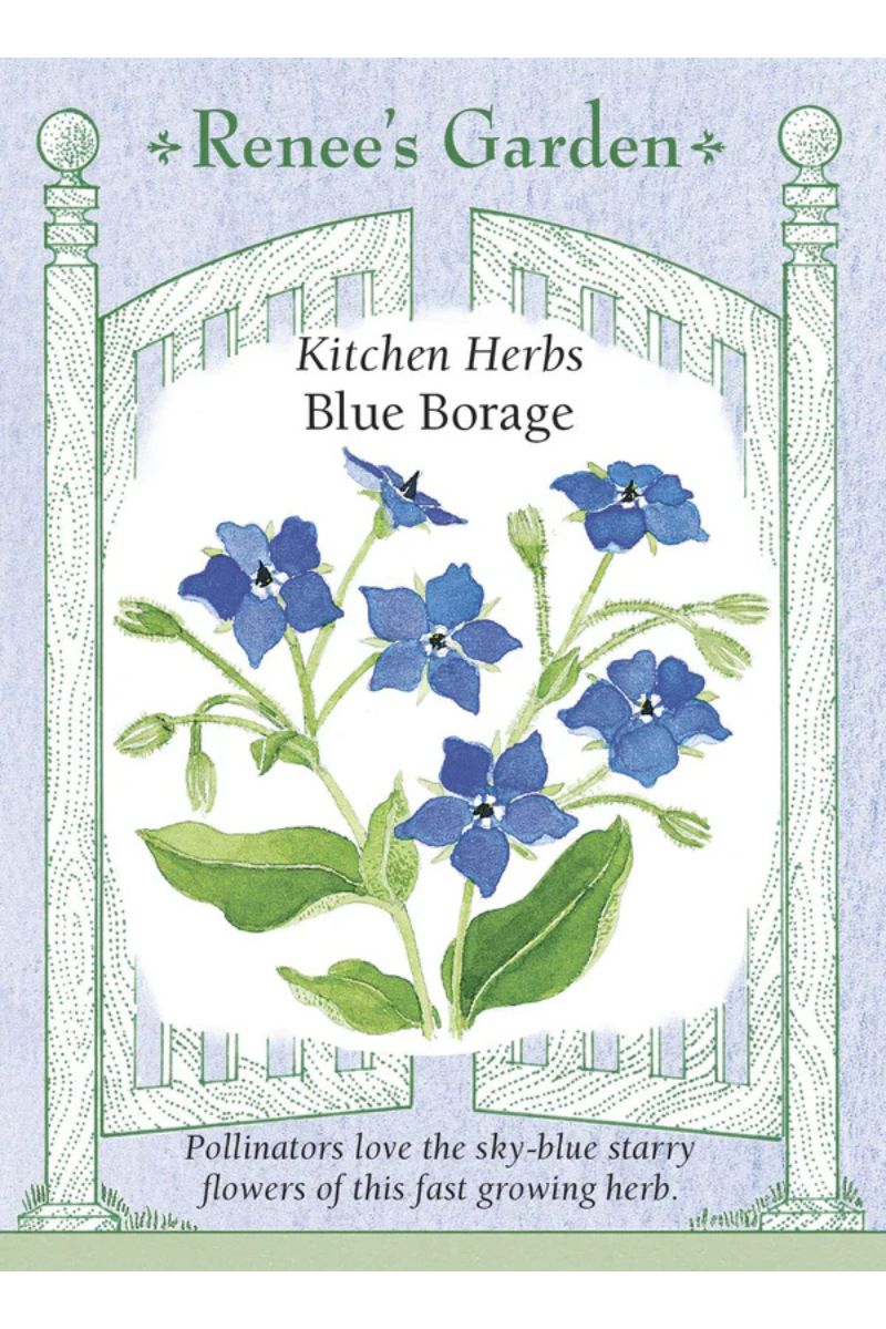 Renee's Garden Kitchen Herbs Blue Borage Seeds