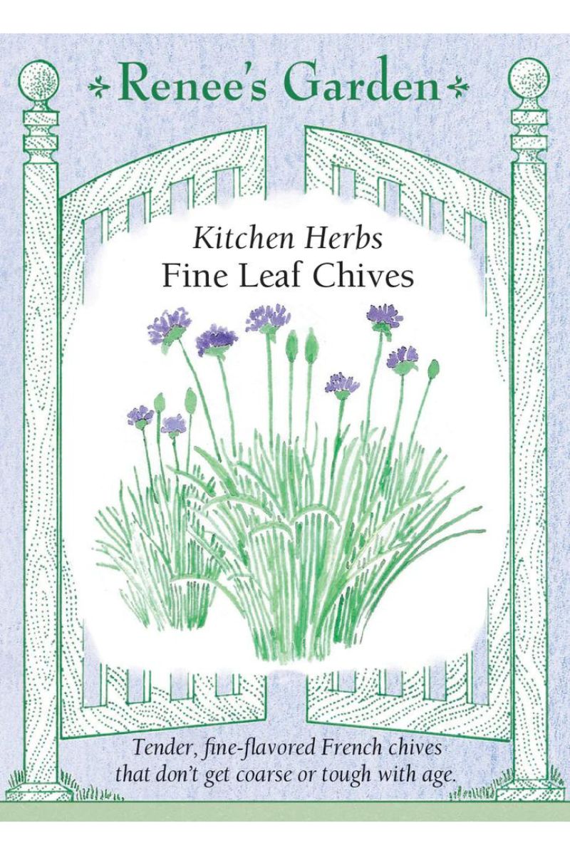 Renee's Garden Kitchen Herbs Fine Leaf Chives Seeds