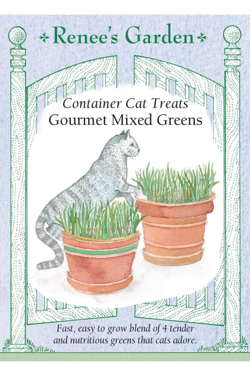 Renee's Garden Container Cat Treats Gourmet Mixed Greens Seeds
