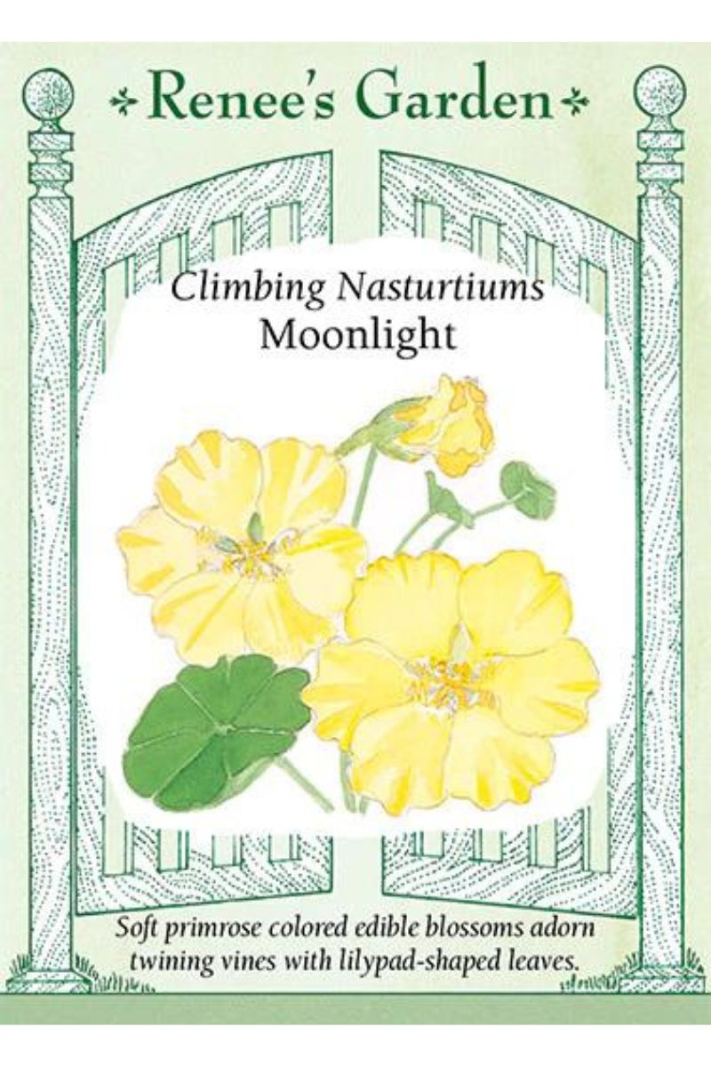 Renee's Garden Climbing Nasturtiums Moonlight Seeds
