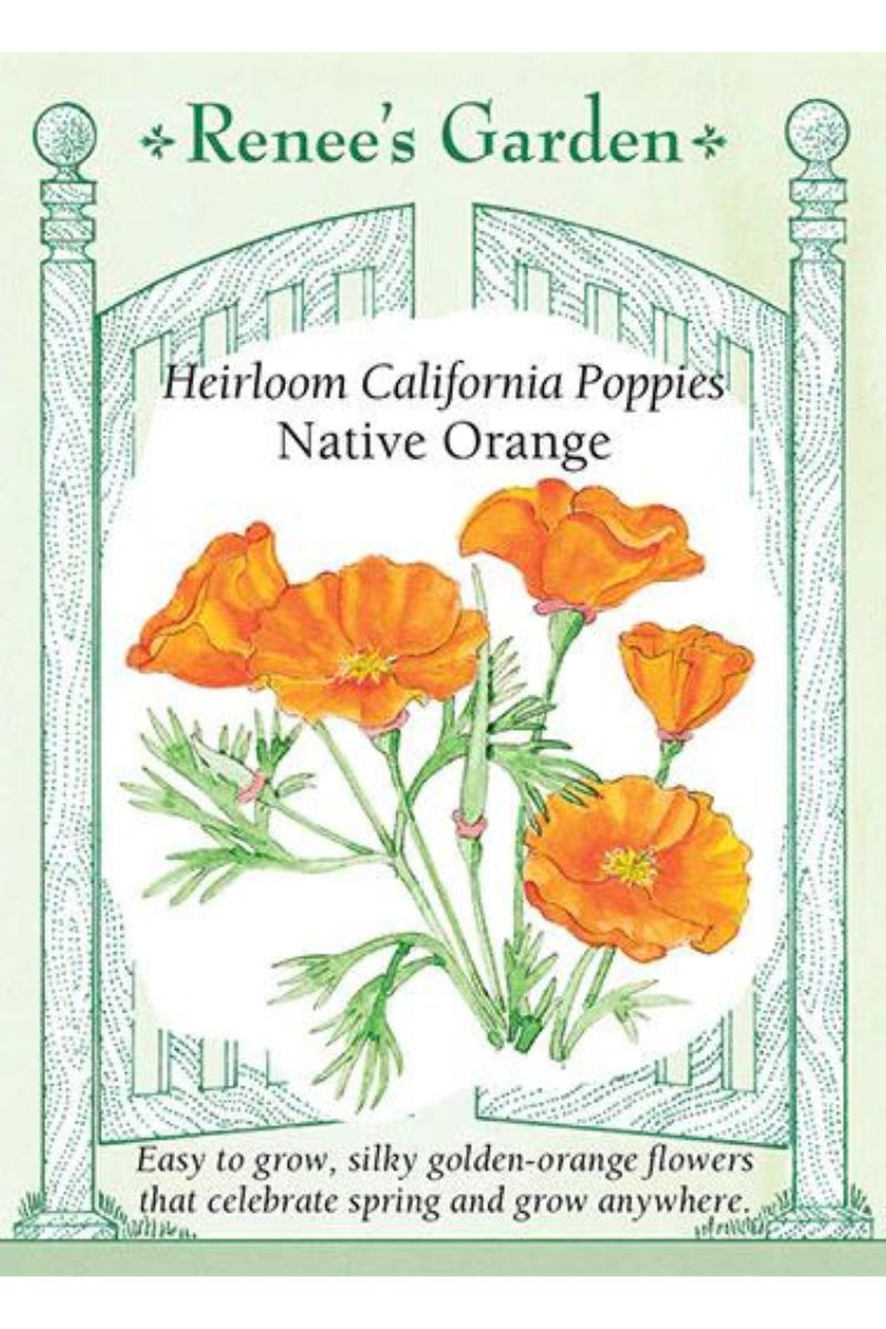 Renee's Garden Heirloom California Poppies Native Orange Seeds