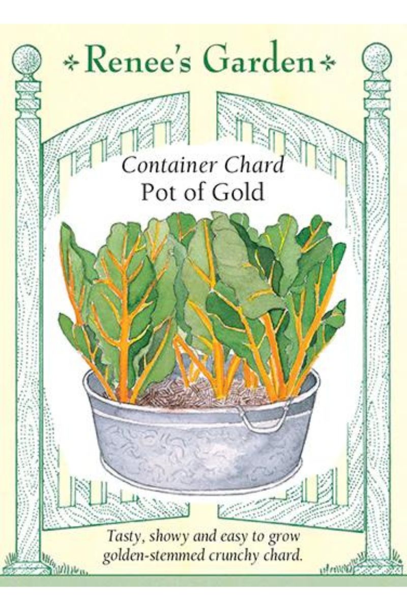 Renee's Garden Container Chard Pot of Gold Seeds
