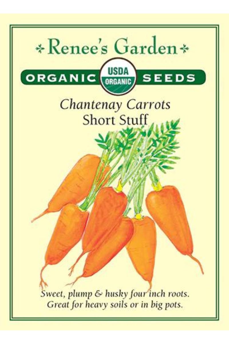 Renee's Garden Chantenay Carrots Short Stuff Organic Seeds