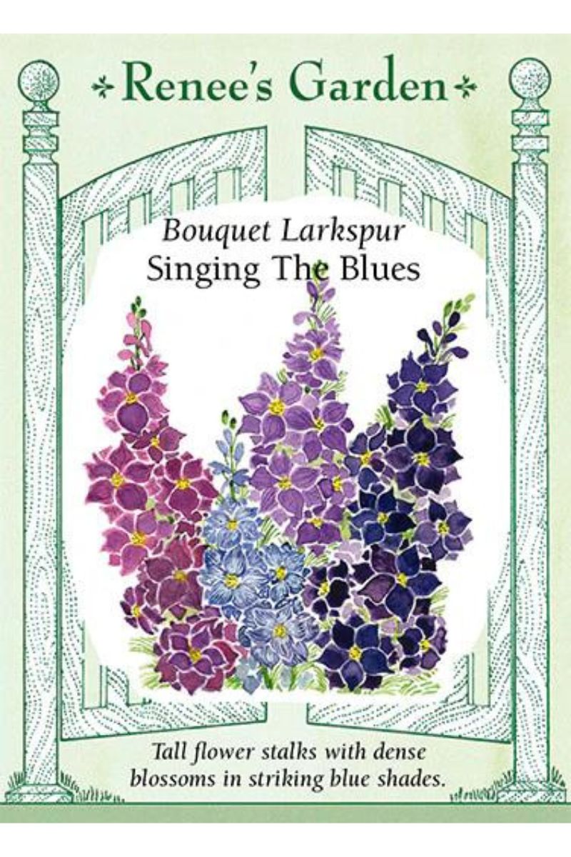 Renee's Garden Bouquet Larkspur Singing The Blues Seeds