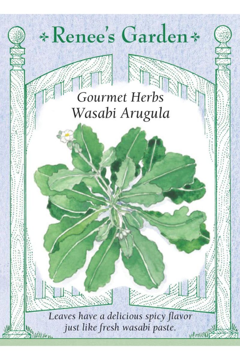 Renee's Garden Gourmet Herbs Wasabi Arugula Seeds