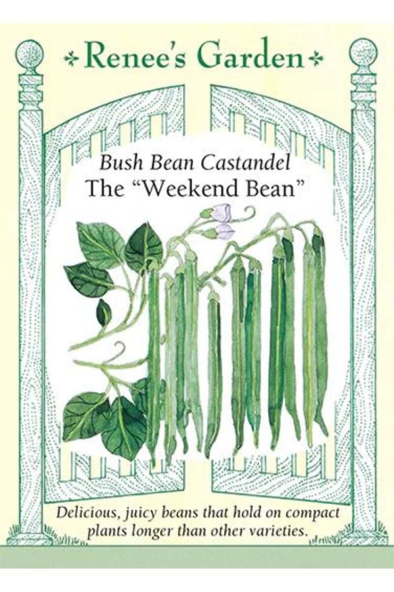 Renee's Garden Bush Bean Castandel The "Weekend Bean" Seeds