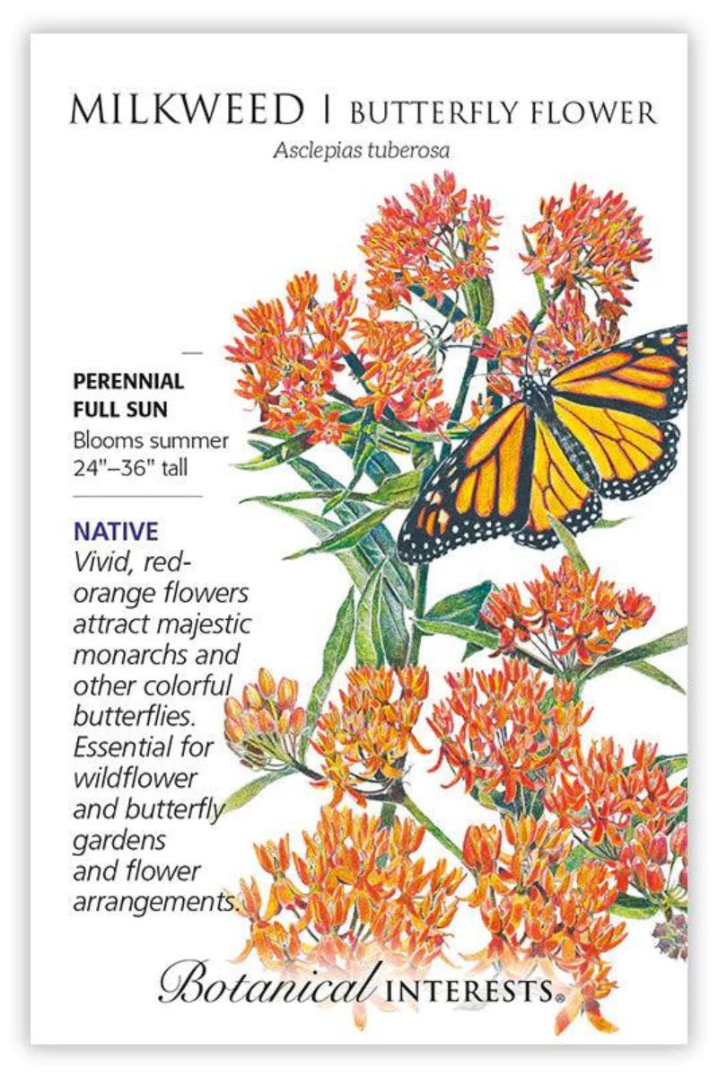 Botanical Interests Milkweed/Butterfly Flower Seeds