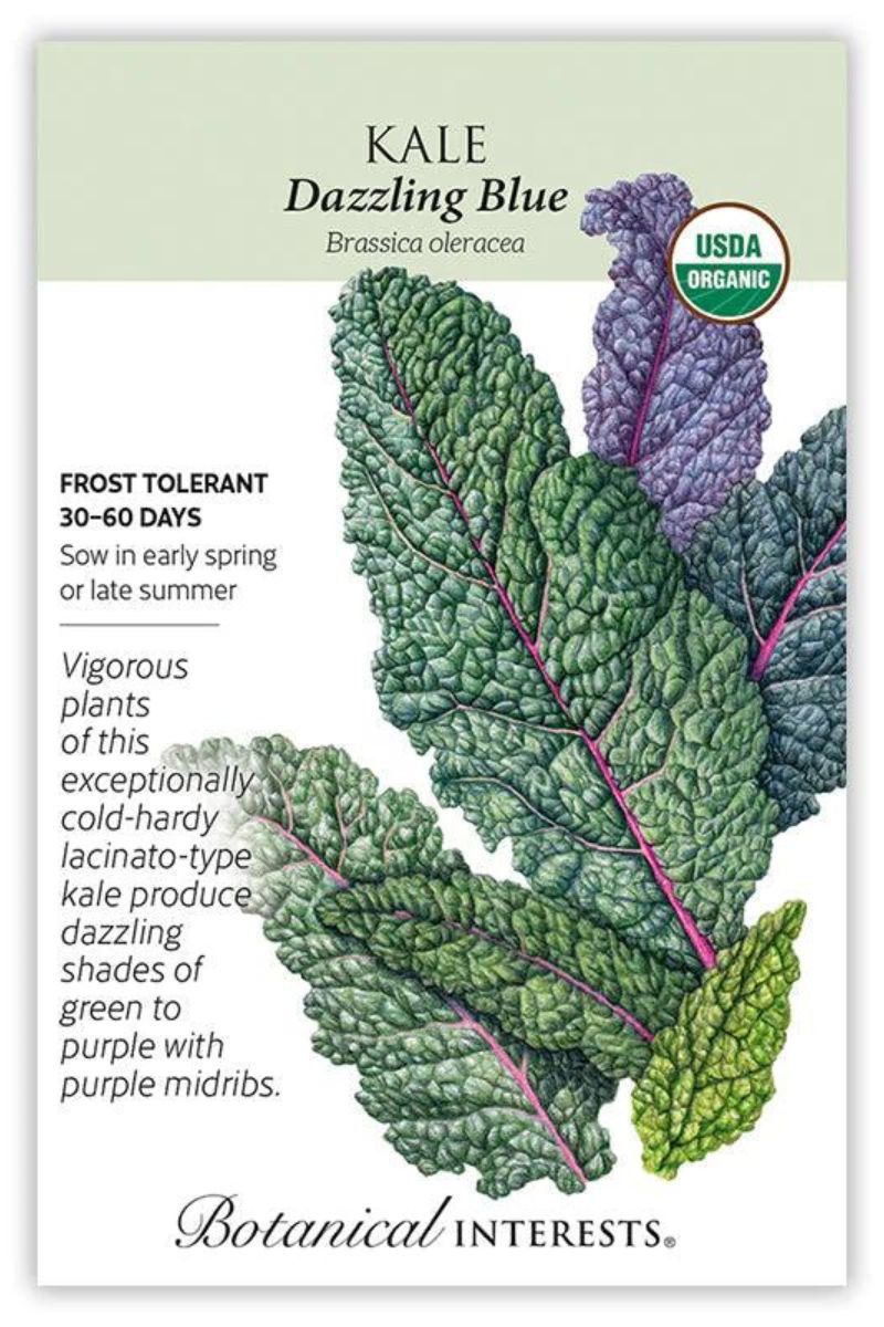 Botanical Interests Dazzling Blue Kale Organic Seeds