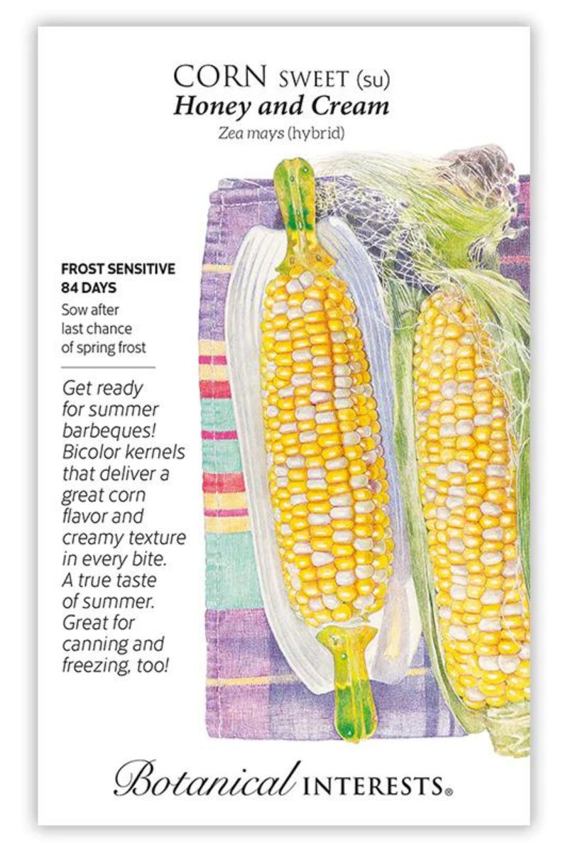 Botanical Interests Honey and Cream Sweet Corn Seeds