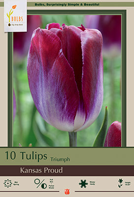 Bulb, Tulip Kansas Proud 10/ Pack