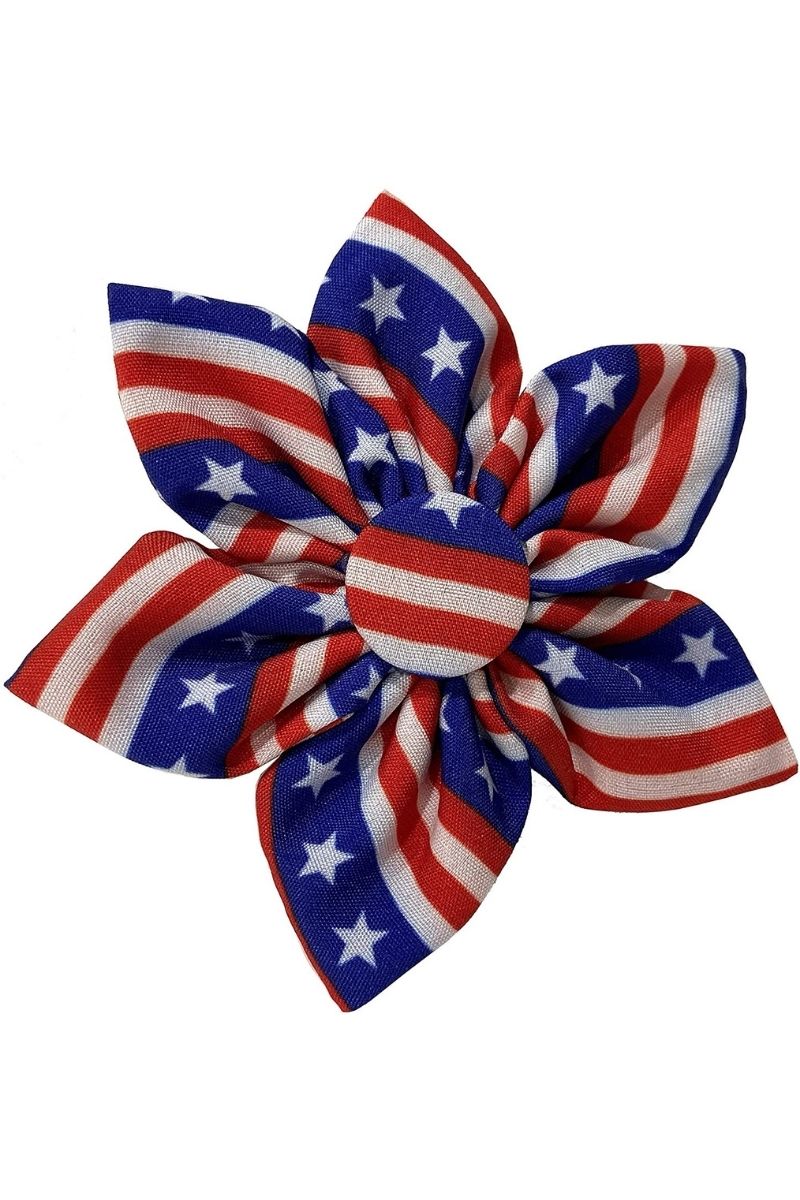 HUXLEY PINWHEEL LG STARS & STR