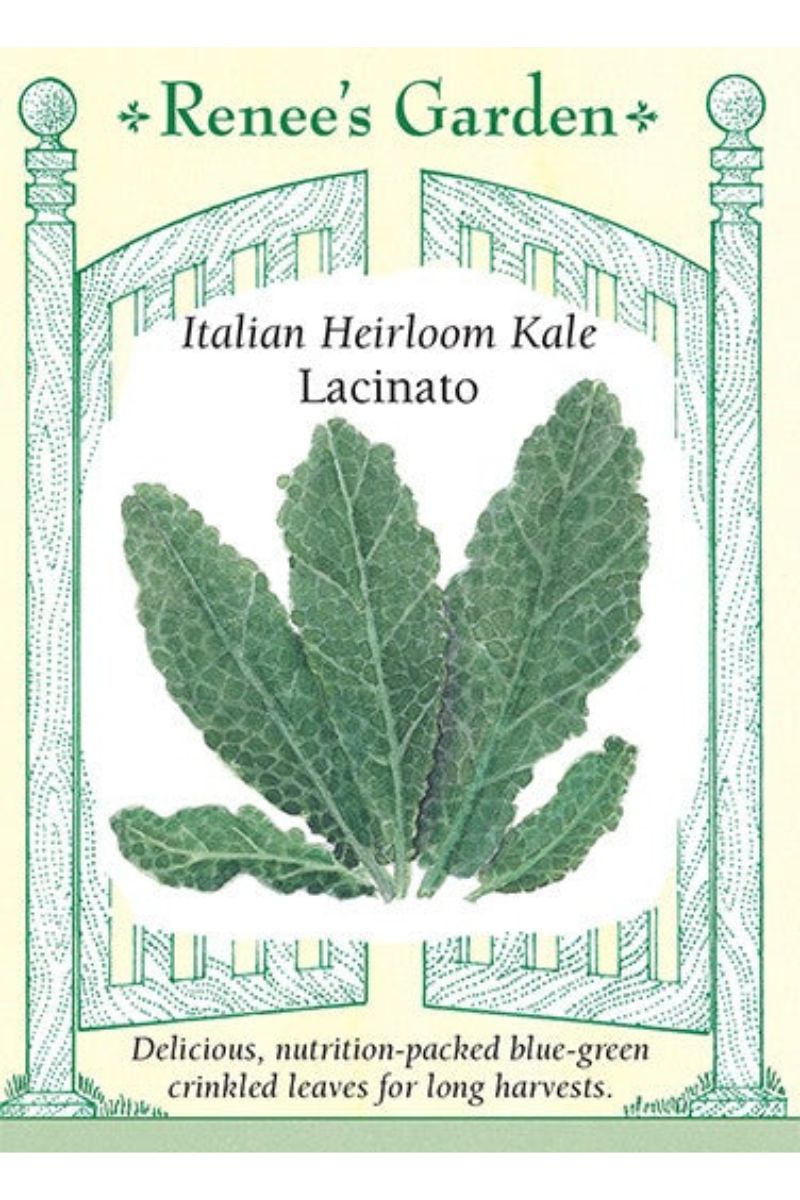 Renee's Garden Italian Heirloom Kale Lacinato Seeds