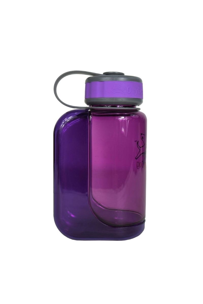 OllyBottle Plum