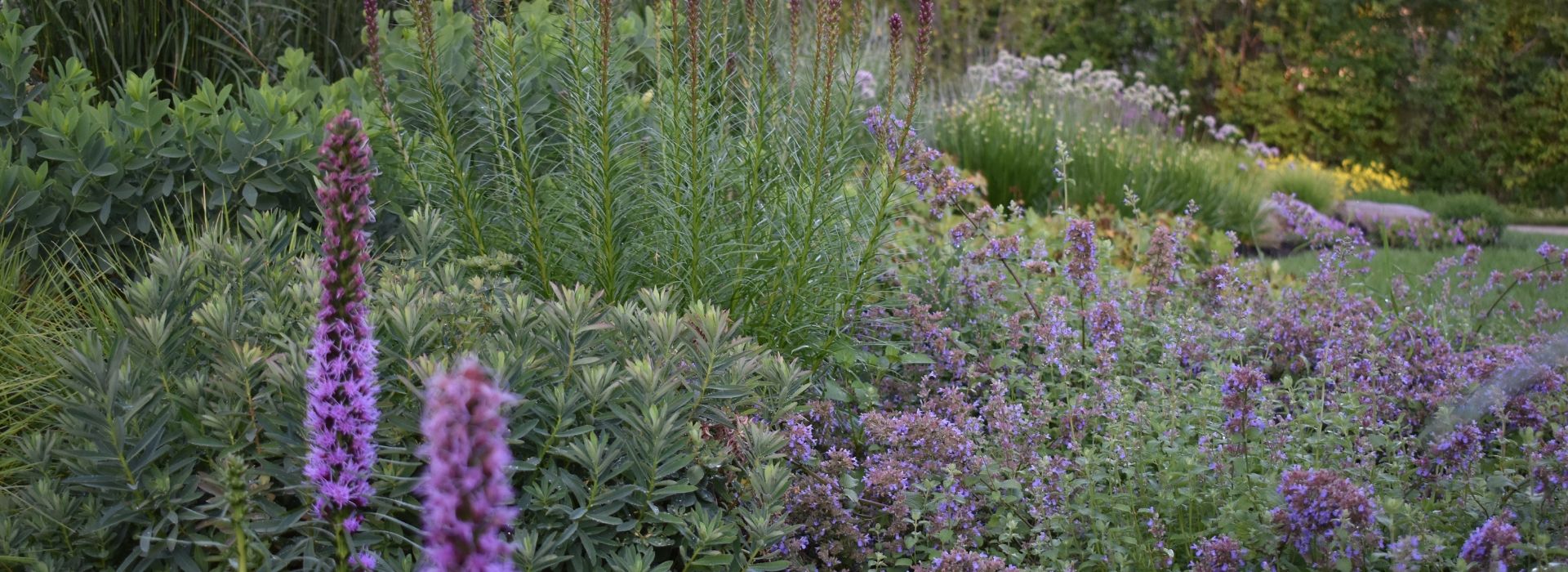 Chalet-nursery Garden Evolution