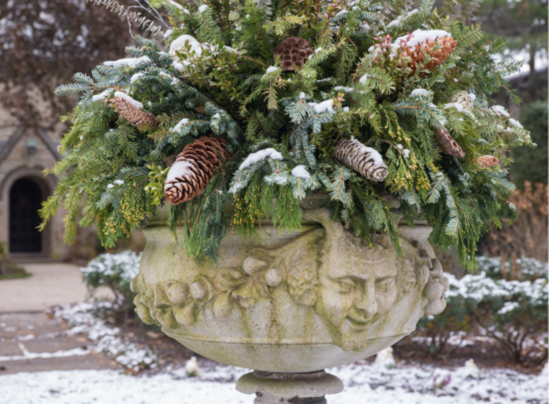 Chalet-nursery Signature Winter Container Trends