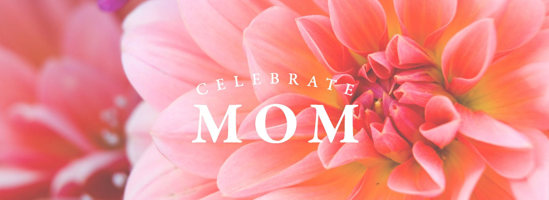 Mother's Day Gift Guide