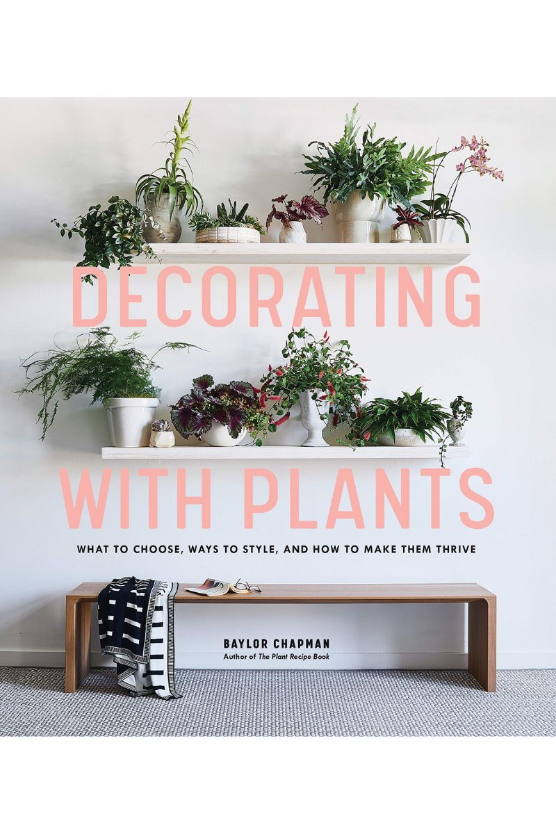 Decorating With Plants