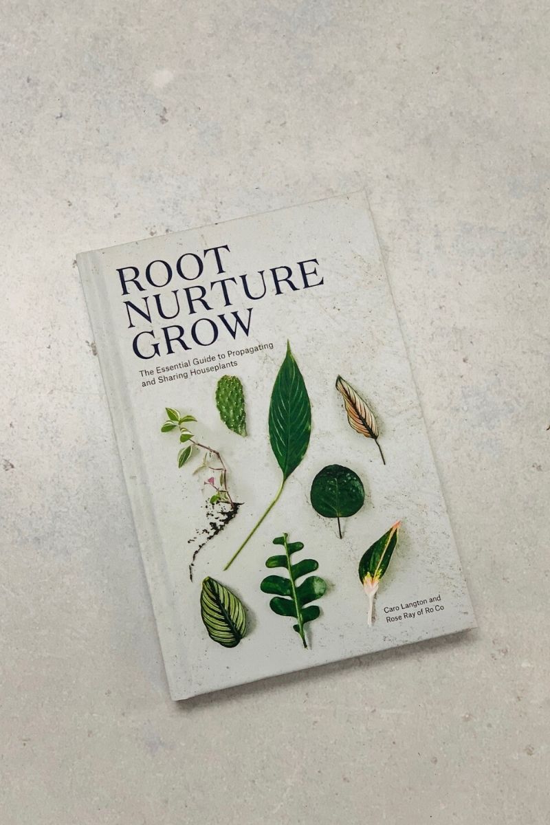 Root Nurture Grow: The Essential Guide to Propagating and Sharing Houseplants
