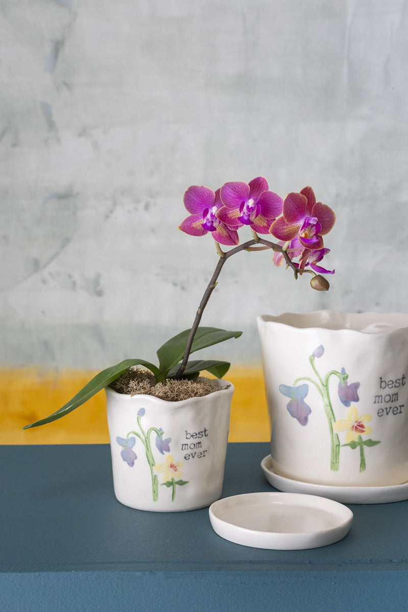 Best Mom Pot 3.5"x 3.25"