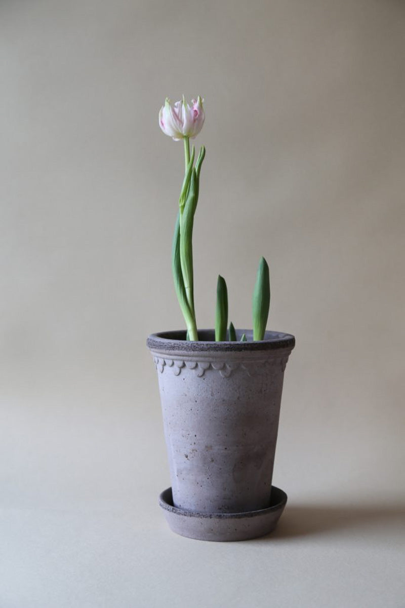 Kobenhavner Tall Pot With Saucer 7.1"x 9.4" Raw Grey