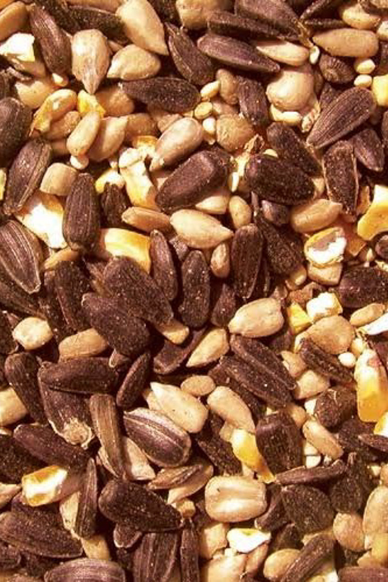 Cole's Blazing Hot Blend Bird Seed 5 lb