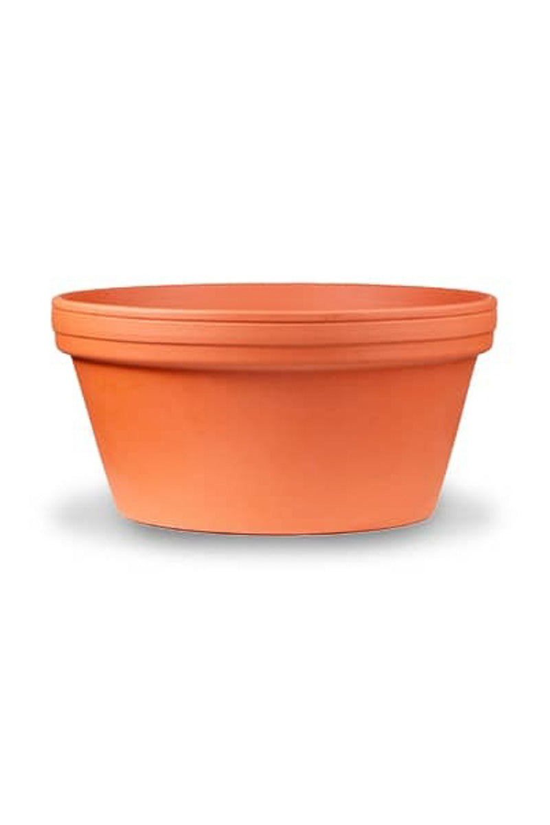 Bonsai Cactus Planter 9.5" Terra Cotta