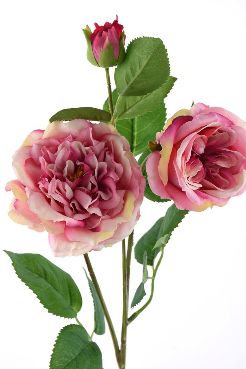 SILK STEM WILD ROSE 24"