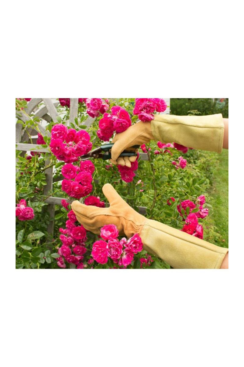 Womanswork All Leather Gauntlet Gloves Small