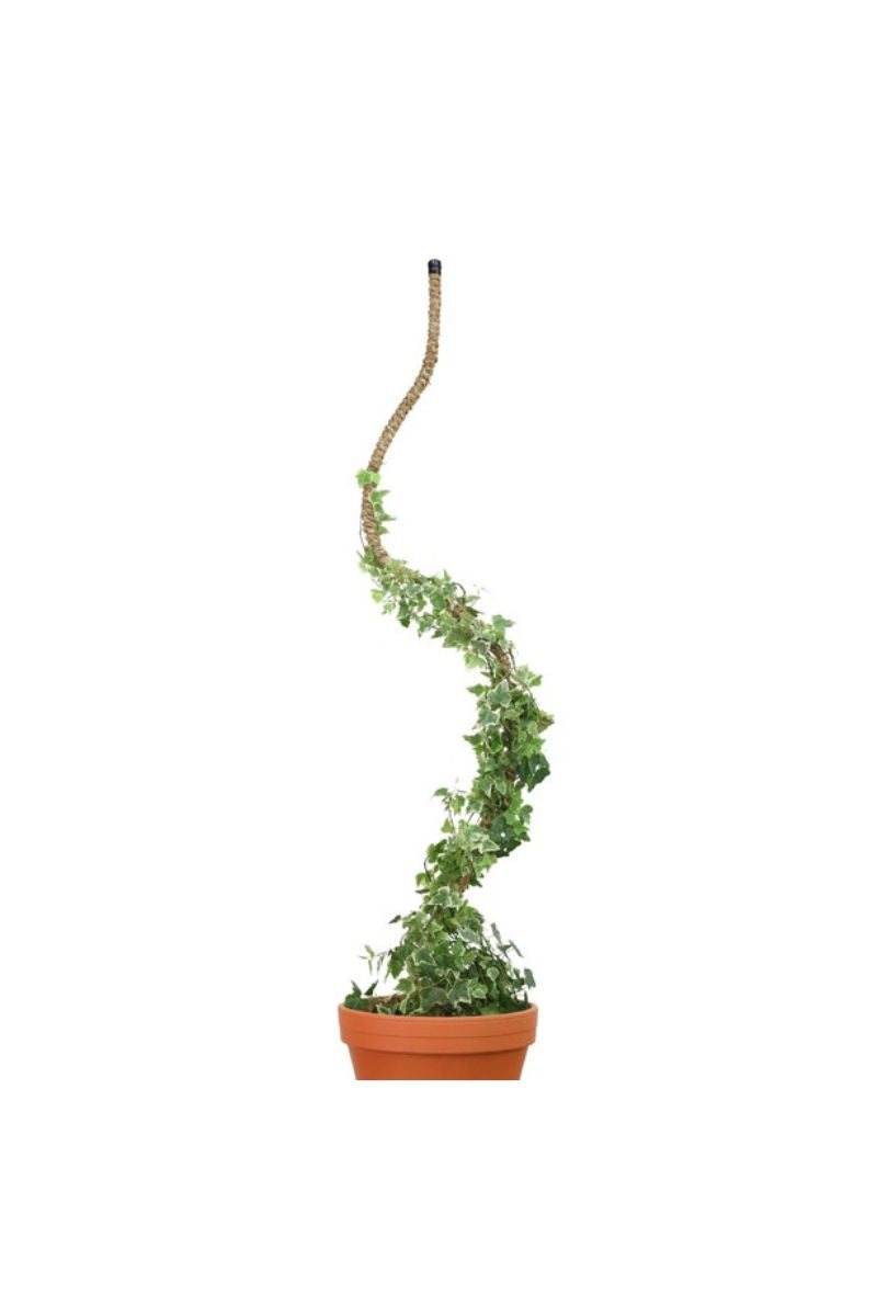 Mossify Bendable Coir Pole 30"