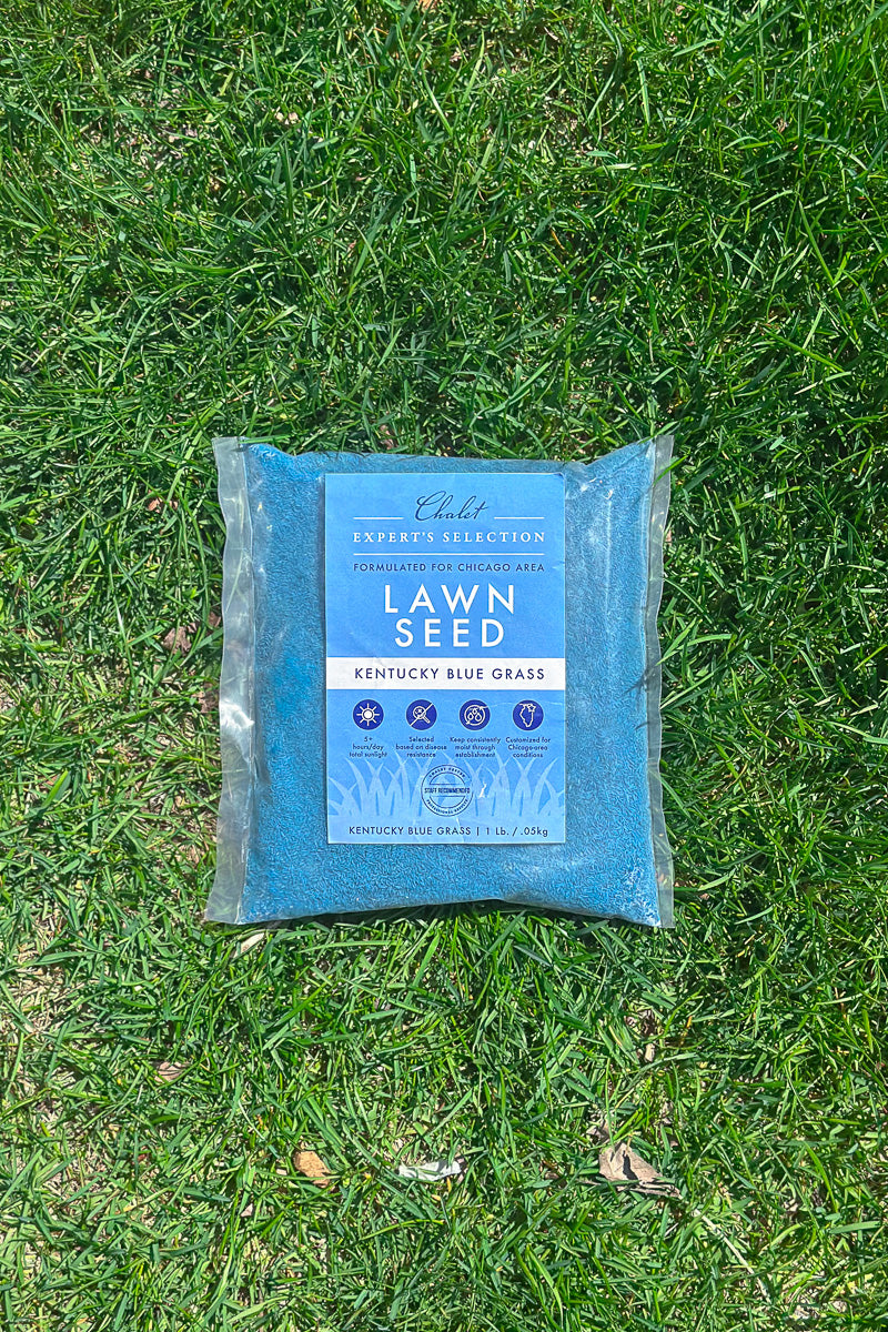 Chalet-nursery Lawn Seed Kentucky Blue Grass 1 lb