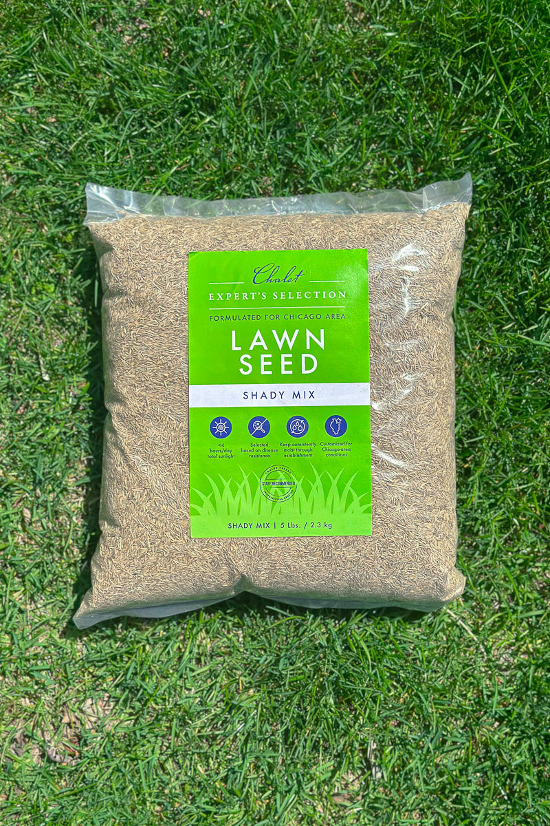 Chalet-nursery Lawn Seed Shady Mix 5 lb