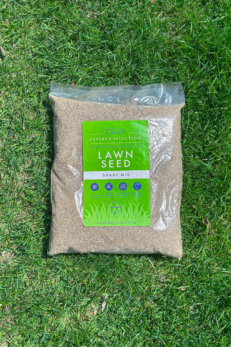 Chalet-nursery Lawn Seed Shady Mix 3 lb