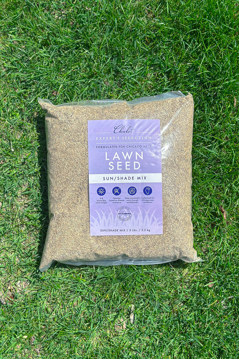 Chalet-nursery Lawn Seed Sun/Shade Mix 5 lb