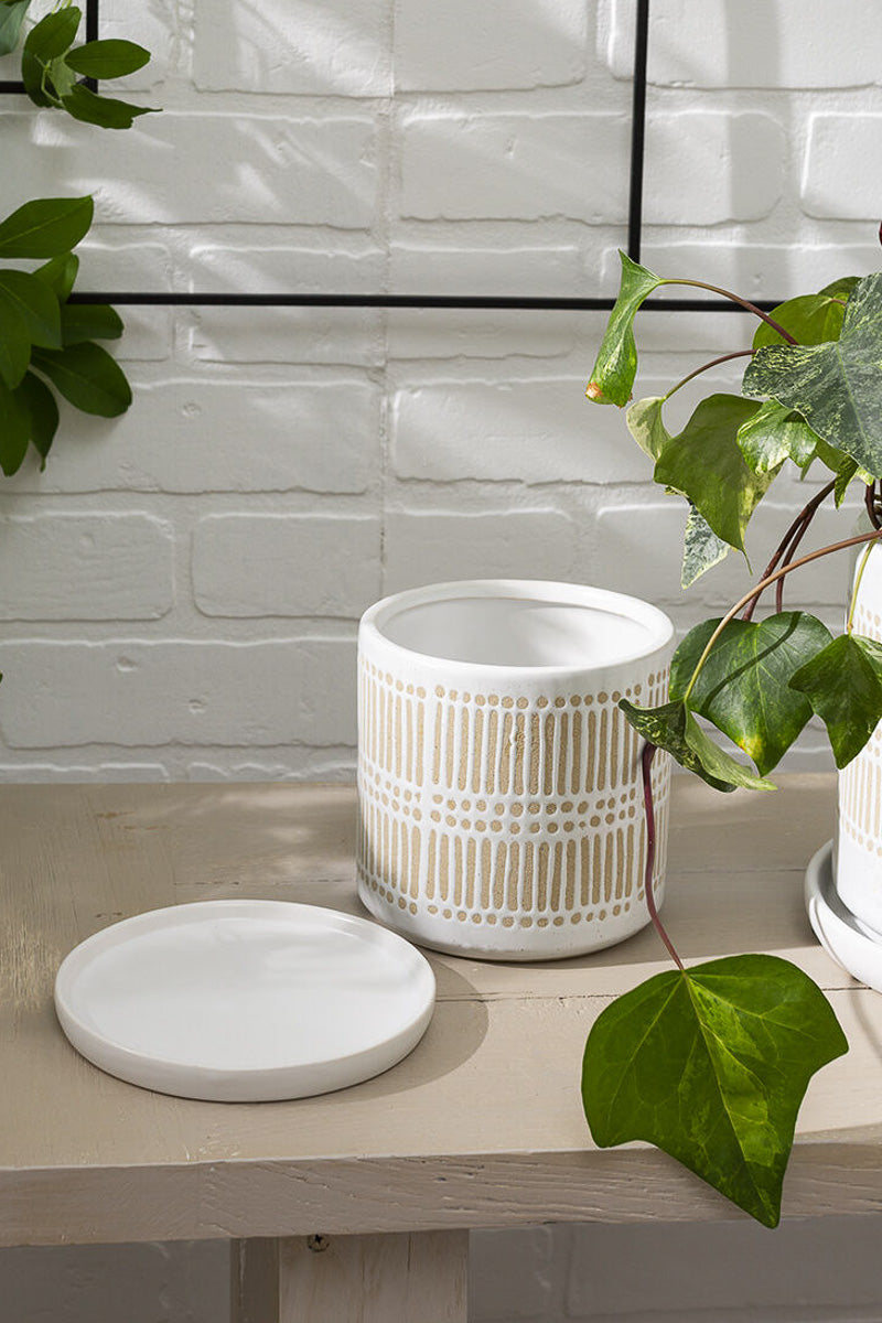 Linden Pot with Saucer 5.25"x 5.25"