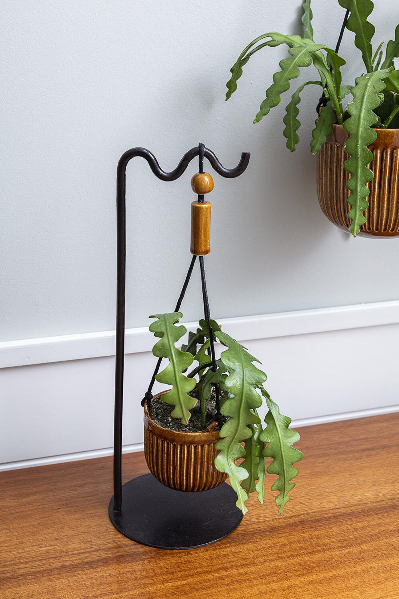 Irwin Hanging Pot 3"x 3.25"