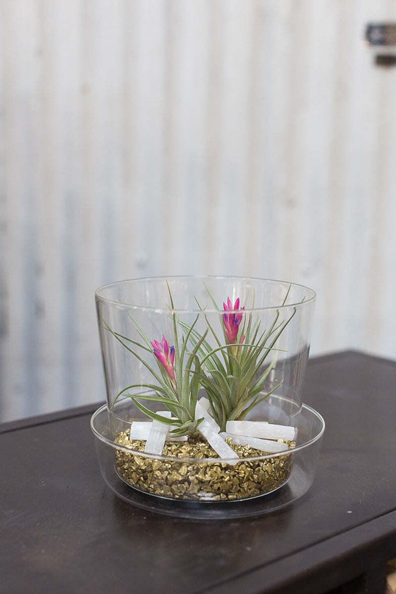 Glass Pot with Saucer 6.25"x 5"