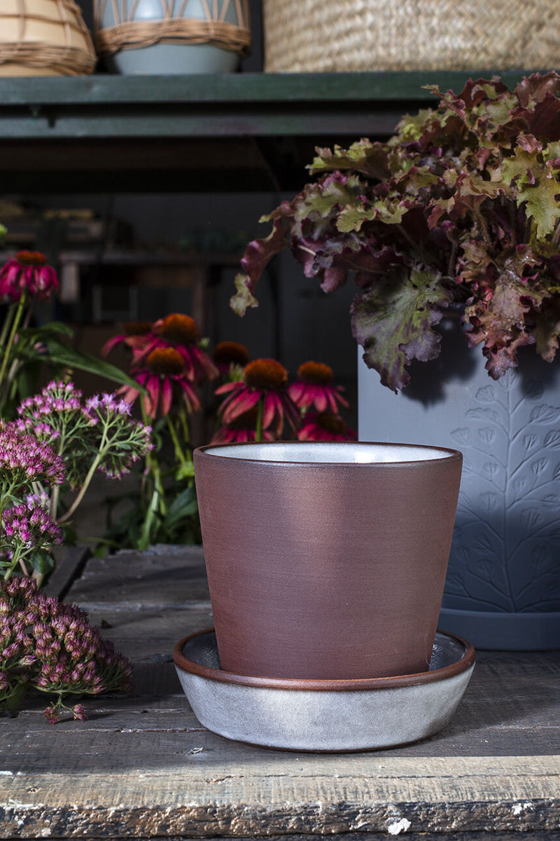 Cooper Pot with Saucer 5.25"x 5"